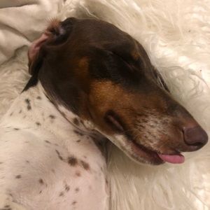 Meet your Posher, Jayne